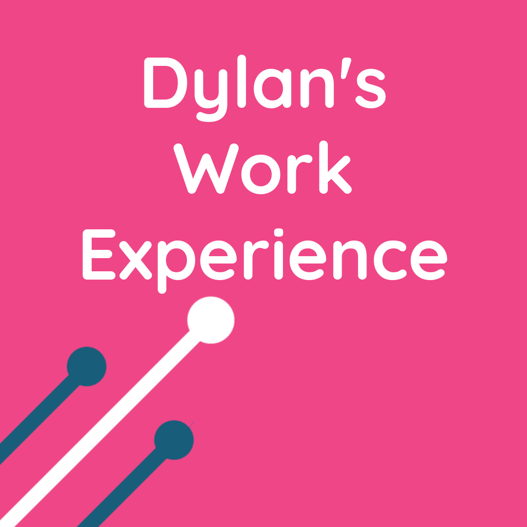 Dylan’s Work Experience